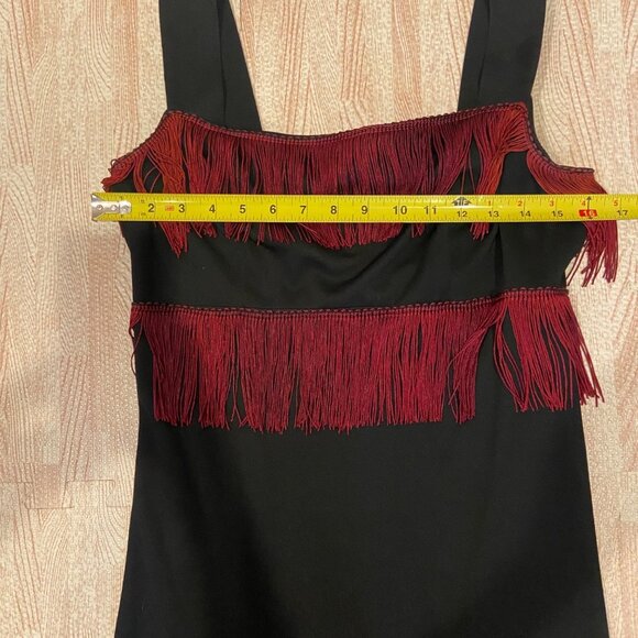 Fred Rothschild Vintage Sheath Dress With Fringe Size 12 - Picture 10 of 13